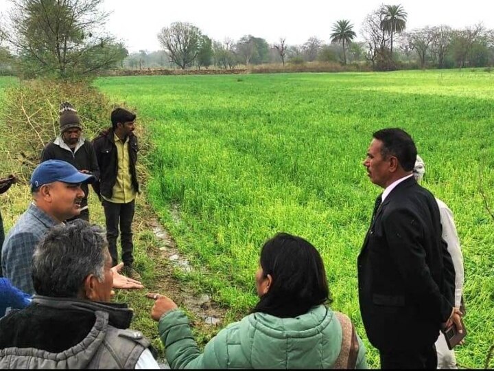 Crop Damage: उदयपुर में बारिश और ओलावृष्टि से रबी की फसल को नुकसान, क्लेम के लिए किसान करें ये काम