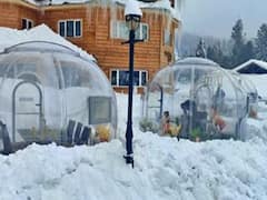 India's First Glass Igloo Restaurant In J&K's Gulmarg Grabs Attention Of Tourists. In Pics