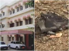 Nellore Court Bomb Case : నెల్లూరు కోర్టులో బాంబు పేలుడు ఘటన, కీలక తీర్పు ఇచ్చిన న్యాయస్థానం