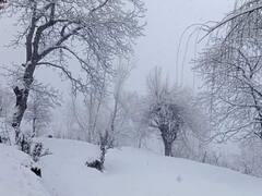 In Pics: बर्फ से ढके हिमाचल प्रदेश के पहाड़, तस्वीरों में देखें बर्फबारी के बाद का खूबसूरत नजारा