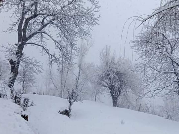 यह तस्वीर पांगी इलाके की है. यहां बर्फबारी के बाद पूरा इलाका धुंध के आगोश में समाया हुआ है. तस्वीर हर किसी को आकर्षित कर रही है. (फोटो क्रेडिट- अंकुश डोभाल)