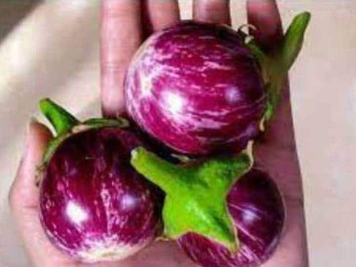Patients of this disease should not eat brinjal even by mistake