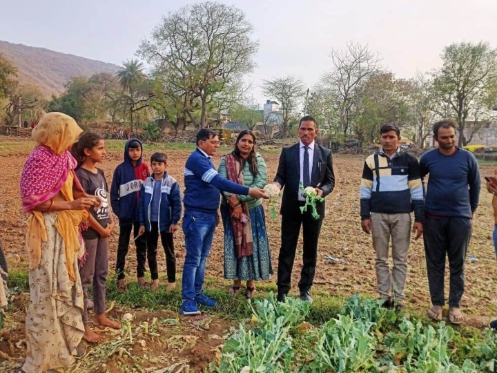 Crop Damage: उदयपुर में बारिश और ओलावृष्टि से रबी की फसल को नुकसान, क्लेम के लिए किसान करें ये काम