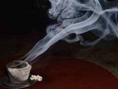 Jaya Ekadashi 2023: जया एकादशी के दिन केसर का ये उपाय दूर करेगा विवाह की बाधा, जल्द बजेगी घर में शहनाई