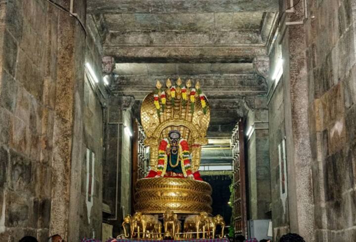 Srirangam Renganathar Temple Tour Namperumal Uttarai Road in Sesha Vehicle TNN ஸ்ரீரங்கம் ரெங்கநாதர் கோவிலில் சேஷ வாகனத்தில் நம்பெருமாள் உத்திரை வீதி உலா