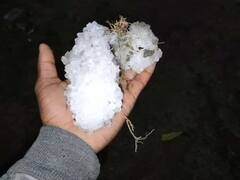 Kota Weather Update: कोटा में बारिश के साथ पड़े ओले, फसलें हुईं चौपट; तस्वीरों में देखें मौसम ने कैसे मचाई तबाही