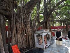 काशी विश्वनाथ कॉरिडोर की तर्ज पर होगा अक्षयवट परिसर का विकास, इन राज्यों से बुलाए जाएंगे कारिगर