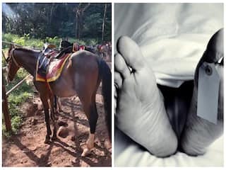 அச்சச்சோ... தேனிலவில் குதிரை சவாரி செய்த புதுமாப்பிள்ளை உயிரிழப்பு..! நடந்தது என்ன..?