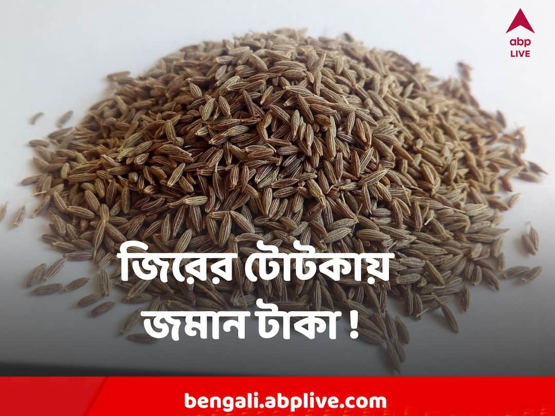 Astro Tips Cumin Can Solve Your Monetary Crisis, Know How Astro Tips : কিছুতেই টাকা বাঁচাতে পারছেন না ? বাড়িতে জিরে আছে তো?