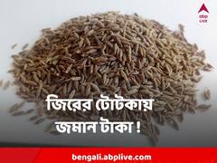 কিছুতেই টাকা বাঁচাতে পারছেন না ? বাড়িতে জিরে আছে তো?