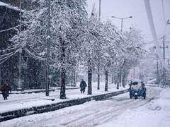 In Pics: Fresh Snow Blankets Srinagar On Last Day Of Chilla-i-Kalan. Road, Air Traffic Affected