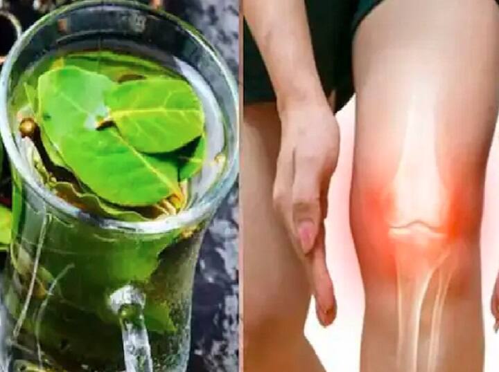 How Mint Leaves Reduces Uric Acid; Know Other Benefits Mint Leaves: புதினா இலைகள் இந்த உபாதைகளை தடுக்குமா? இது நீங்க கேள்விப்படாத விஷயம்..