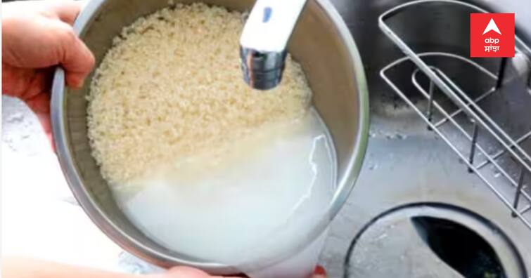 rice-water-starch-benefits-know-how-to-use-it Rice Water: ਜੇਕਰ ਤੁਸੀਂ ਵੀ ਚਾਵਲਾਂ ਦੇ ਬਚੇ ਹੋਏ ਪਾਣੀ ਨੂੰ ਸੁੱਟਦੇ ਹੋ, ਤਾਂ ਰੁੱਕ ਜਾਓ, ਜਾਣੋ ਇਸ ਦੇ ਫਾਇਦੇ, ਕਈ ਬਿਮਾਰੀਆਂ ਤੋਂ ਬਚਾਉਂਦਾ