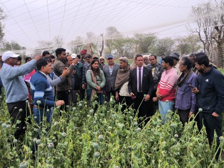 Crop Damage: उदयपुर में बारिश और ओलावृष्टि से रबी की फसल को नुकसान, क्लेम के लिए किसान करें ये काम