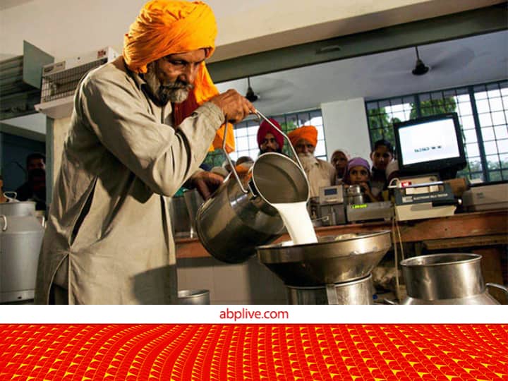 Rajasthan Mukhyamantri Dugdh Utpadak Sambal Yojana Provide 5 rupees Subsidy on Per leter Milk to Dairy Farmers Pashupalan Yojana: वाह! पशुपालकों को प्रति लीटर दूध पर 5 रुपये अनुदान, बस करना होगा ये छोटा-सा काम