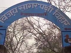 UP नेचर एंड बर्ड फेस्टिवल की मेजबानी करेगा महोबा, विलुप्त पक्षियों को बचाने पर होगा फोकस