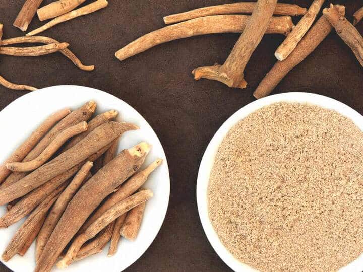 फायदे पाने के लिए अश्वगंधा खाते हैं तो पहले जान लीजिए इसकी तासीर...नहीं तो हो जाएगा नुकसान know ashwgandha is hot or cold in nature फायदे पाने के लिए अश्वगंधा खाते हैं तो पहले जान लीजिए इसकी तासीर...नहीं तो हो जाएगा नुकसान