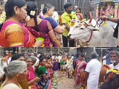 விழுப்புரம் முத்தாம்பிகை அம்மன் கோயில் பற்றித் தெரியுமா? 108 பசுக்களுக்கு சிறப்பு கோ பூஜை.. விவரம் இதோ