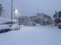 In Pics: बर्फ से ढके हिमाचल प्रदेश के पहाड़, तस्वीरों में देखें बर्फबारी के बाद का खूबसूरत नजारा