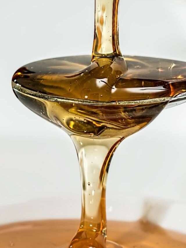 Honey : Real Honey Difference Between Real and Fake Honey or Asli Sehad ki Pehchan Honey : કોરોનામાં હાથવગુ ઔષધ મધ અસલી છે કે નકલી તે કેવી રીતે ઓળખશો?