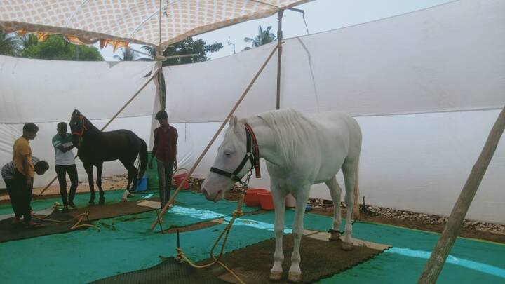 भीमा कृषी प्रदर्शनाच्या शेवटच्या दिवशी डॉ. जे.बी. पाटील, सहायक प्राध्यापक यांनी सेंद्रीय शेती आणि जमीनीचे अरोग्य या विषयावर व्याख्यान दिले.