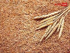 Wheat Flour Price Hike :  तुमच्या ताटातल्या चपातीची किंमत वर्षात 40 टक्क्यांनी महागली