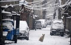 Kashmir Snowfall: তুষারে ঢাকা উপত্যকা! নৈসর্গিক সৌন্দর্য নিয়ে হাতছানি কাশ্মীরের
