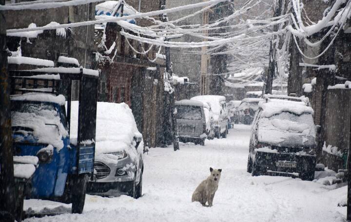 প্রবল ঠান্ডার মরসুম, তারই মাঝে নতুন করে  তুষারপাত। বরফে ঢাকল গোটা কাশ্মীর উপত্যকা।