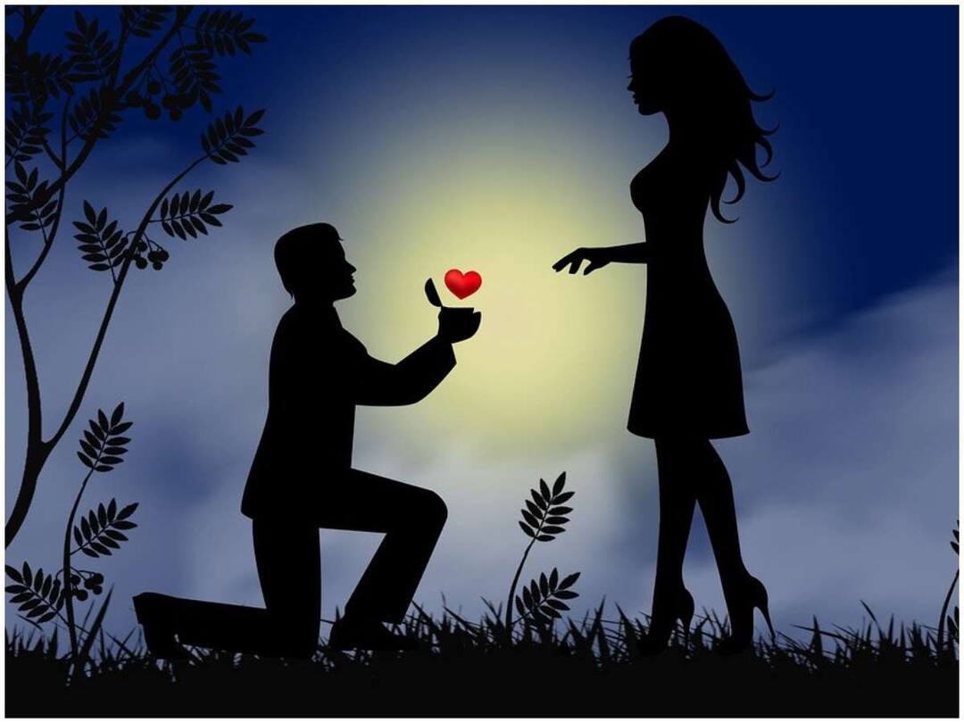 11 ஆண்டுகால பேஸ்புக் காதலிக்காக ஸ்வீடனிலிருந்து இந்தியா பறந்து வந்த காதலர்! முடிவு என்ன தெரியுமா?