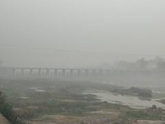 PHOTO : वादळी वाऱ्यासह अवकाळी पाऊस, धुळ्यात कापणीला आलेले पीक आडवे