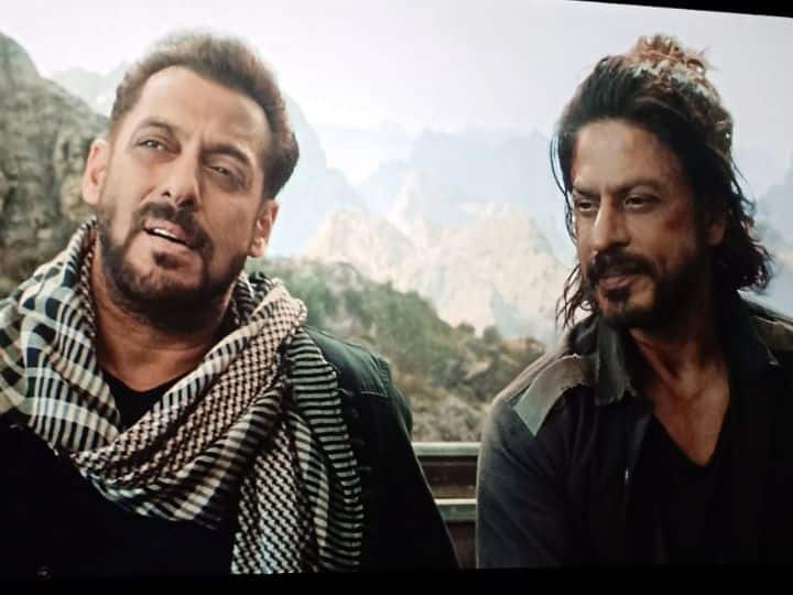 shah Rukh Khan thanks to salman khan for cameo in pathaan watch video Pathaan:  शाहरुख खान ने सलमान खान को बोला थैंक्यू, 'पठान' में भाईजान के कैमियो पर कही ये बड़ी बात