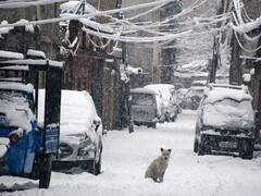 Fresh Snowfall Blankets Many Parts Of Kashmir, Hilly Areas Of Jammu — IN PICS