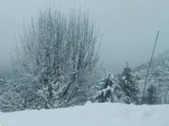 Snowfall: जम्मू-कश्मीर, हिमाचल प्रदेश, उत्तराखंड में भारी बर्फबारी, हिमस्खलन का अलर्ट