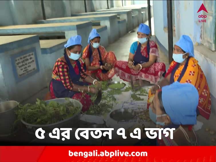 Central Team To Review Mid Day Meal Situation Found 7 Gets Salary Of 5 Mid day Meal worker South 24 Pargana :  ৭ জন মিড ডে মিলের কর্মী ভাগ করে পান ৫ জনের বেতন !