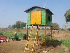 वर्ध्याच्या कासरखेड्यात शेतकऱ्याच्या लेकाची कमाल, आराम करायला शेतात बनवली सुखसोयींनी सुसज्ज मचाण