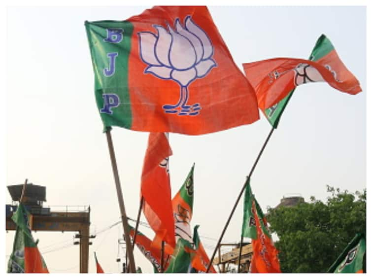 BJP Plans 12-Day Nationwide Campaign On Union Budget To Highlight Its Pro-People Measures BJP Plans 12-Day Nationwide Campaign On Union Budget To Highlight Its Pro-People Measures