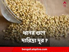 হাতে টাকা আসছে, অথচ খরচ হয়ে যাচ্ছে? বাড়িতে ধনে মশলা আছে তো?