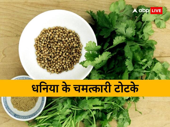 dhania ke totke these trick of coriander removes poverty Dhania Ke Totke: दरिद्रता दूर करता है धनिया का ये ज्योतिषीय उपाय, बनी रहती है धन की देवी लक्ष्मी जी की कृपा