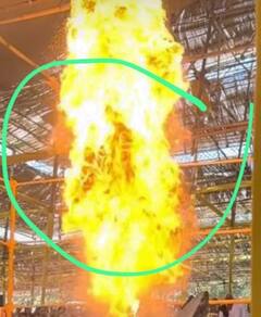 Som Yagna: સોમ યજ્ઞની જ્વાલામાં ઠાકોરજીના વિવિધ સ્વરૂપના થયા દર્શન, ઝાંખી નીહાળી વૈષ્ણો થયા ધન્ય