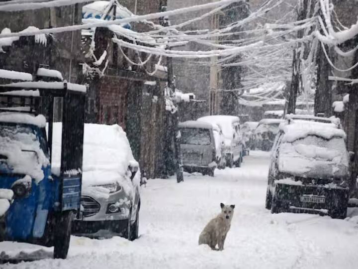 Snowfall: कश्मीर, हिमाचल प्रदेश और उत्तराखंड में हो रही बर्फबारी के कारण देश के कई हिस्सों में अभी भी ठंड का कहर जारी है.