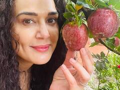 Preity zinta : 47 வது பிறந்தநாளை கொண்டாடும் ப்ரீத்தி ஜிந்தா நடித்த ஹிட் படங்கள்!