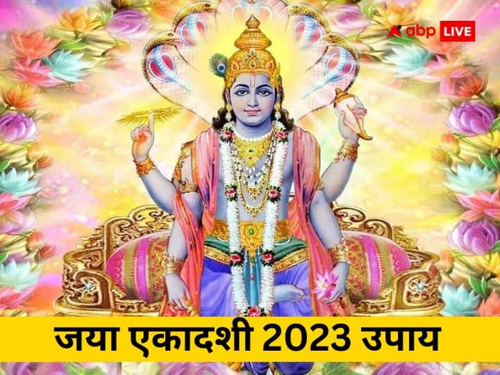 Jaya Ekadashi 2023 on 1 february know lord vishnu puja vidhi muhurat importance and upay according to rashi Jaya Ekadashi 2023: जया एकादशी पर करें अपनी राशि अनुसार उपाय, भगवान विष्णु बरसाएंगे कृपा