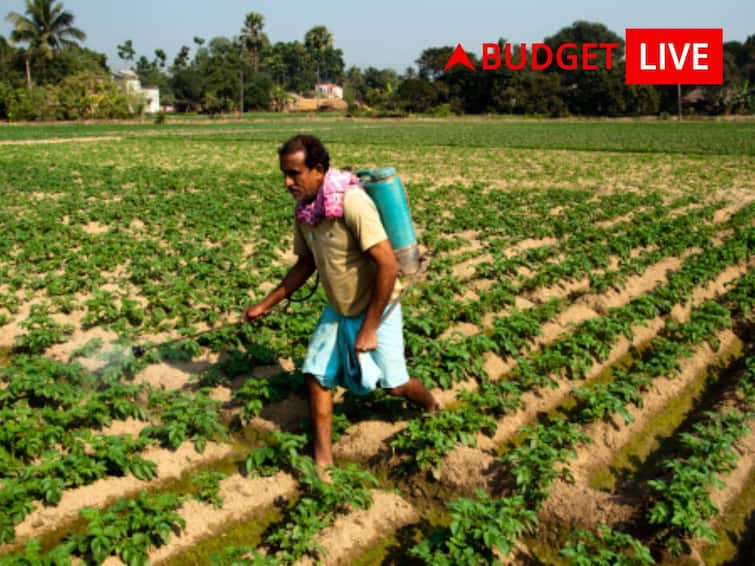 Budget 2023 Agriculture Sector Expectations Guaranteed Income Double Support Under PM-Kisan Scheme Says Expert 'Daily Farm Income Is Rs 27': Expert Says Why Budget 2023 Should Ensure Guaranteed Income For Farmers