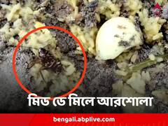 মিড ডে মিলের খিচুড়িতে মিলল আরশোলা !