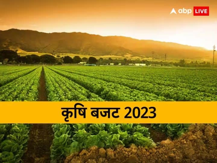 Union Budget 2023 India Union Finance Minister present the budget on 1 February 2023 Budget 2023: बजट में किसान निधि, कृषि लोन में राहत...! बहुत कुछ किसान भाईयों के लिए है