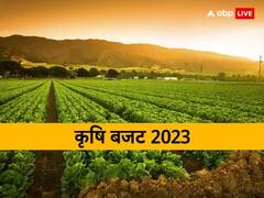 Agriculture Budget 2023 में किसानों की आमदनी बढ़ाने पर होगा फोकस,  KCC और पीएम किसान योजना को लेकर ये हैं उम्मीदें 