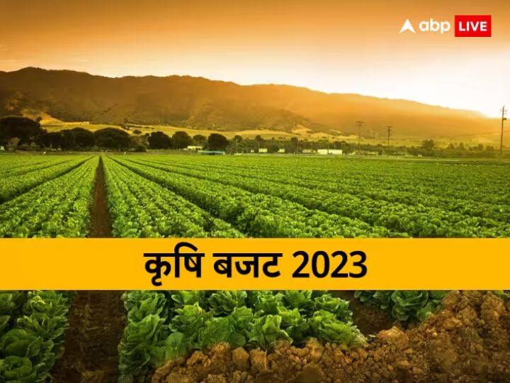 Union Budget 2023 focus on inceased Income of Farmers KCC PM Kisan Yojana  Agriculture Budget 2023 में किसानों की आमदनी बढ़ाने पर होगा फोकस,  KCC और पीएम किसान योजना को लेकर ये हैं उम्मीदें 