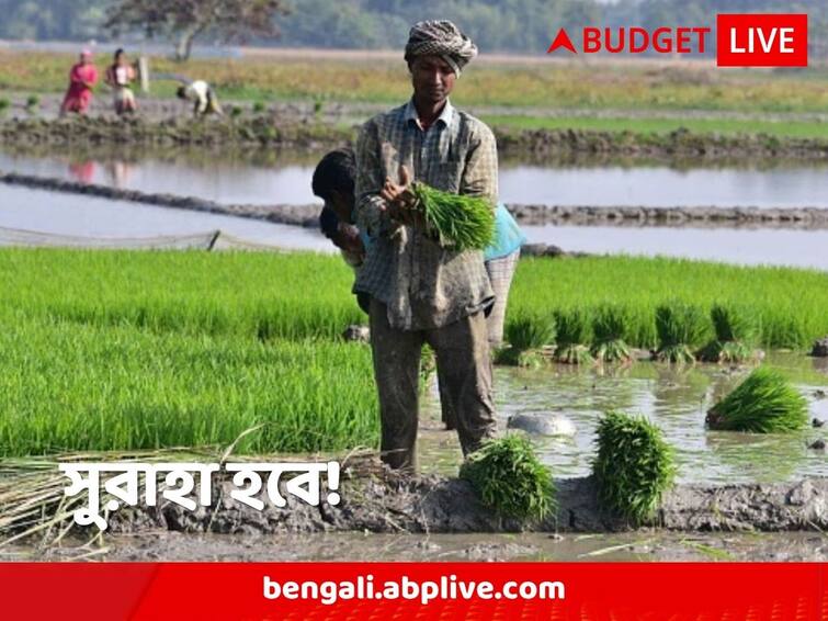 Union Budget 2023 India Daily Farm Income stands at Rs 27 what centre can do to Ensure Guaranteed Income Union Budget 2023: দৈনিক আয় ২৭ টাকা, জনমোহিনী ঘোষণায় হাল ফিরবে কৃষকদের!