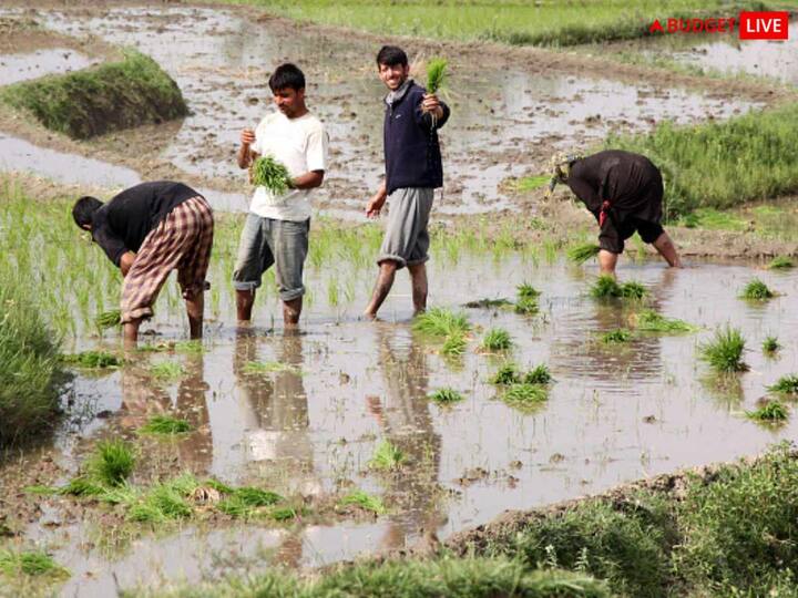 Budget 2023 Expectations Agri Sector Centre Should Give Tax Sops For Agritech Startups Hike Assistance Under PM-KISAN Budget 2023: Centre Should Give Tax Sops For Agritech Startups, Hike Assistance Under PM-KISAN