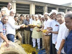 सांगली मार्केट यार्डात मुहूर्ताच्या सौद्यात हळदीला झळाळी, राजापुरी हळदीला क्विंटलला 10 हजार 100 रुपये दर
